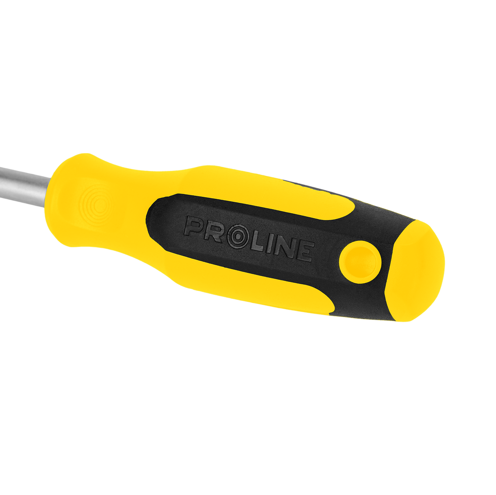 Wkrętak soft touch Torx Security T10x100 mm S2 HRC magnes Proline 10190