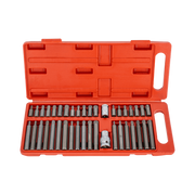 Zestaw końcówek xzn Torx 40 elementów Mega 10740