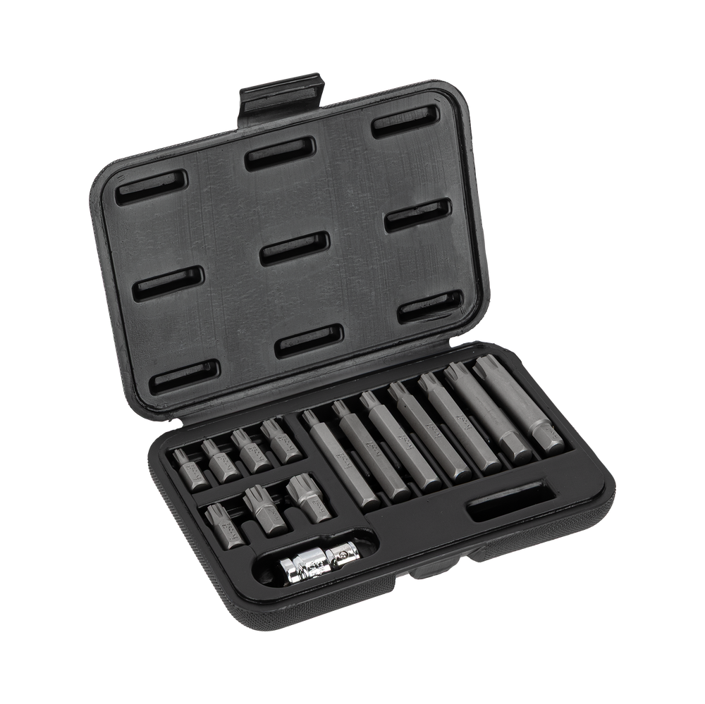 Zestaw końcówek bitów 3/8 ribe M6-M14 3075 mm 15 elementów Proline 10746