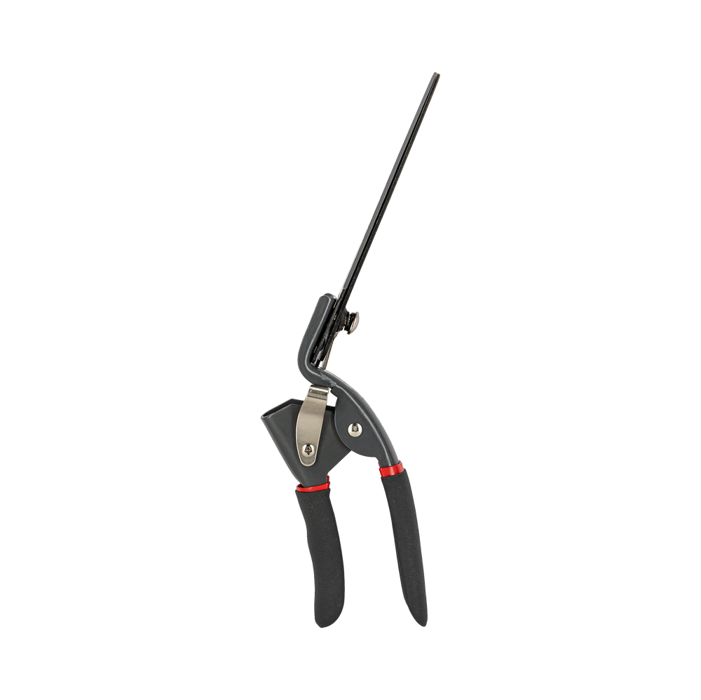 Nożyce do trawy 34 cm Proline 40052