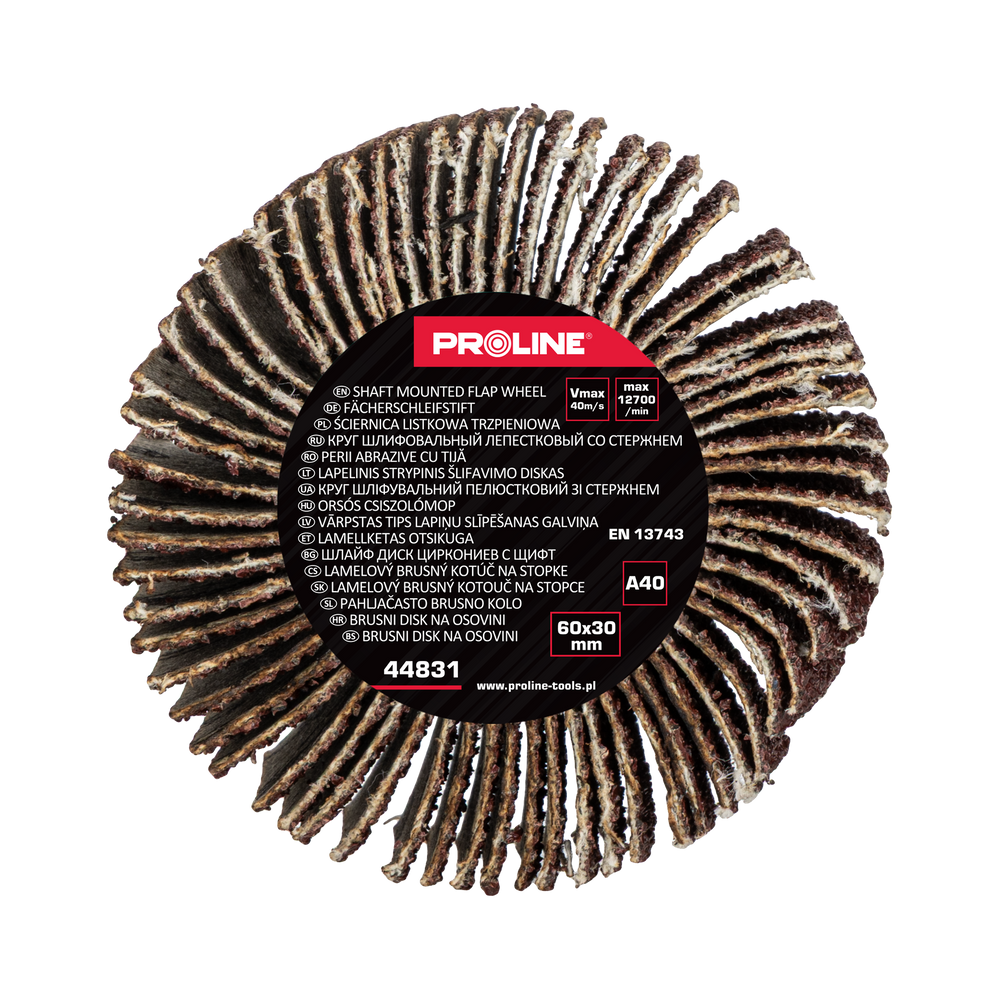 Ściernica listkowa trzpieniowa 60x30 mm gramatura 40 Proline 44831