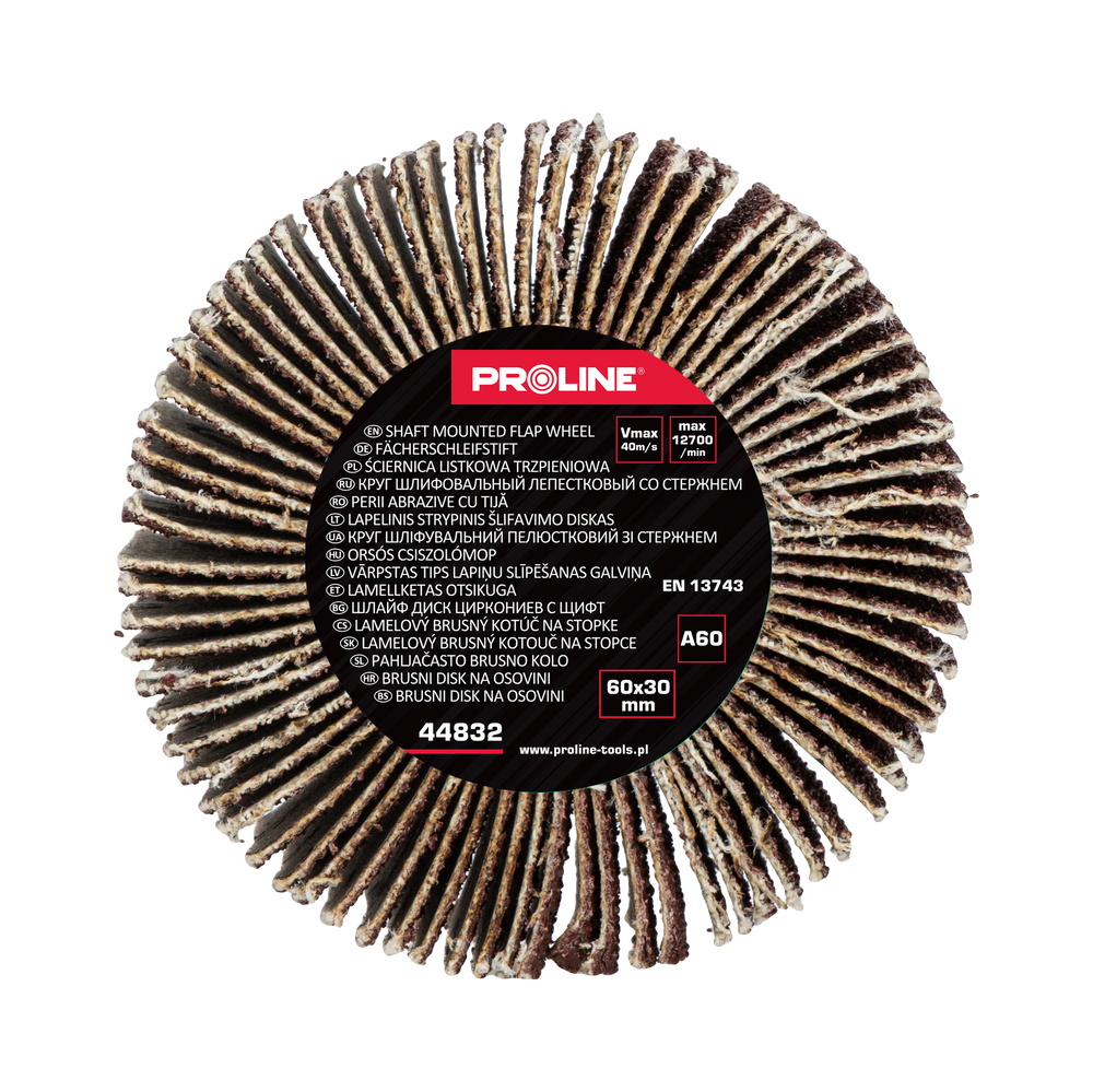 Ściernica listkowa trzpieniowa 60x30 mm gramatura 60 Proline 44832