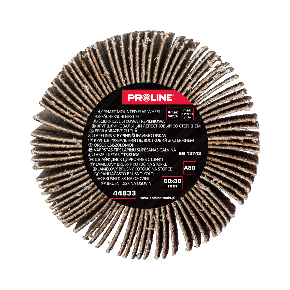 Ściernica listkowa trzpieniowa 60x30 mm gramatura 80 Proline 44833