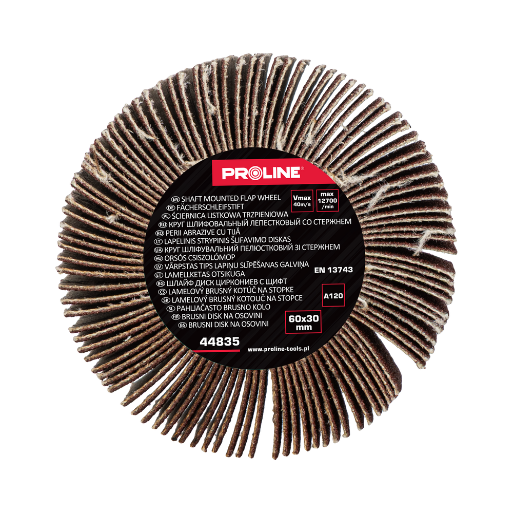 Ściernica listkowa trzpieniowa 60x30 mm gramatura 120 Proline 44835
