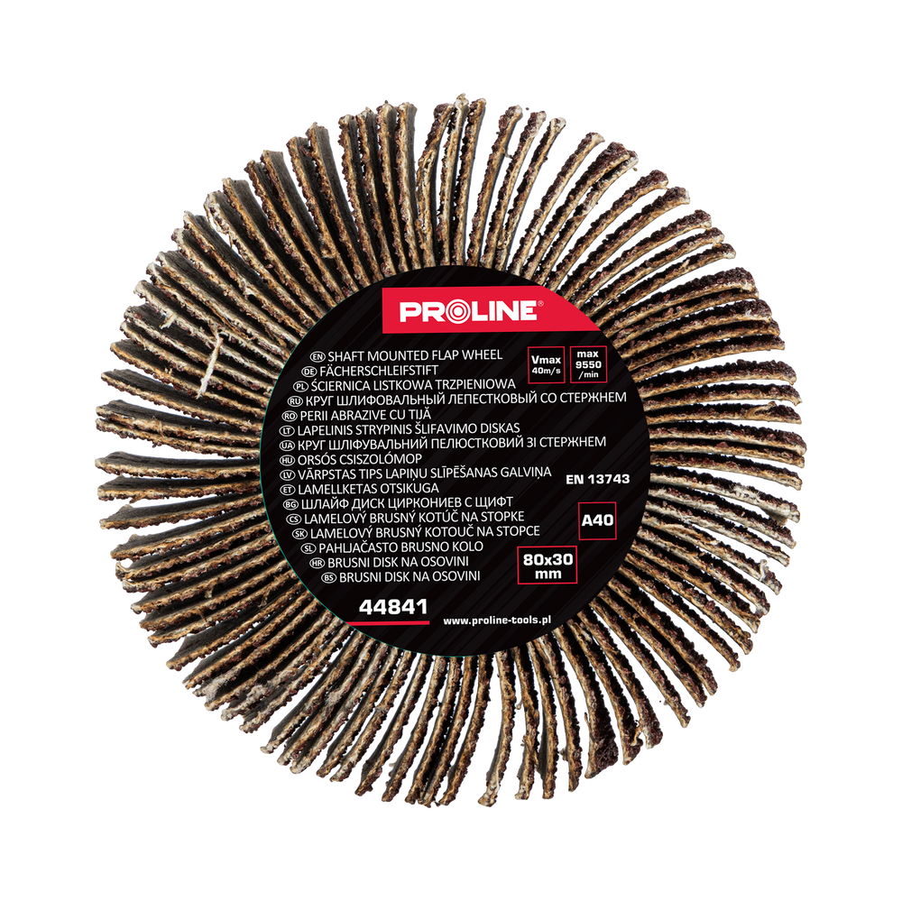 Ściernica listkowa trzpieniowa 80x30 mm gramatura 40 Proline 44841