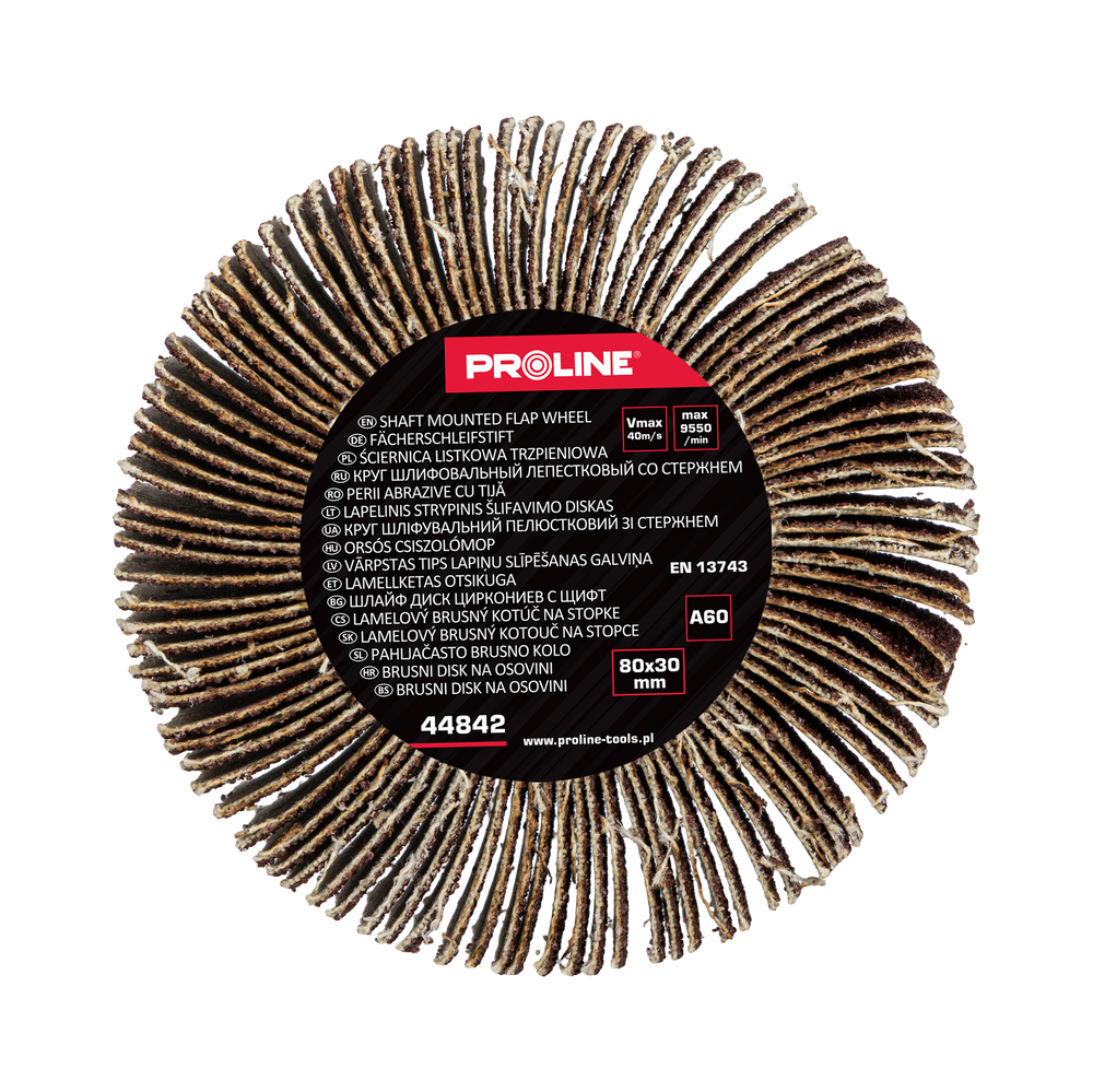 Ściernica listkowa trzpieniowa 80x30 mm gramatura 60 Proline 44842