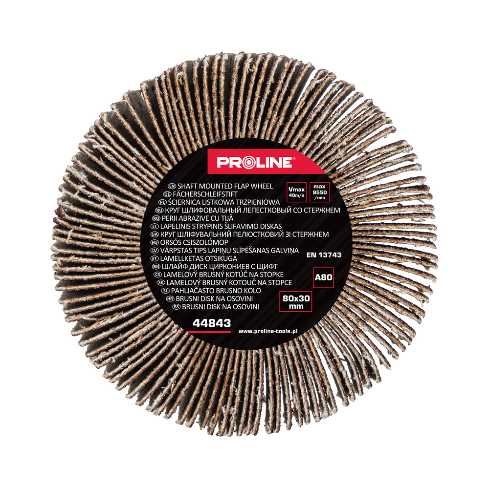 Ściernica listkowa trzpieniowa 80x30 mm gramatura 120 Proline 44845