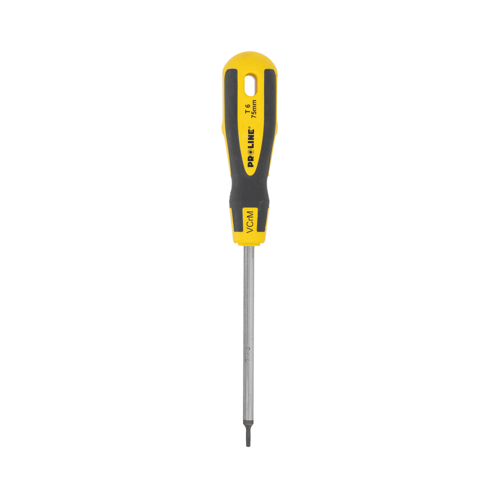 Wkrętak Torx z otworem T6x100 mm profesjonalny 's-t' zawieszka Proline ZR10182