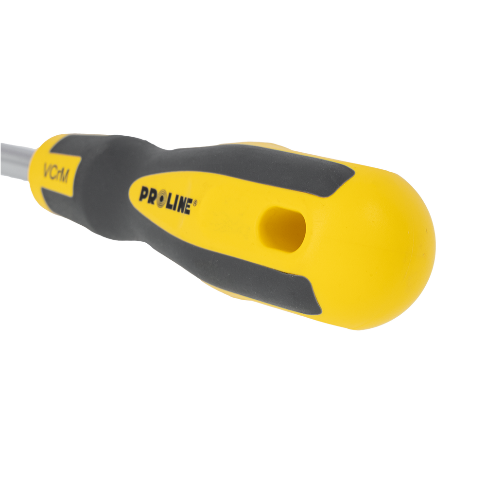 Wkrętak Torx z otworem T10x100 mm profesjonalny 's-t' zawieszka Proline ZR10190